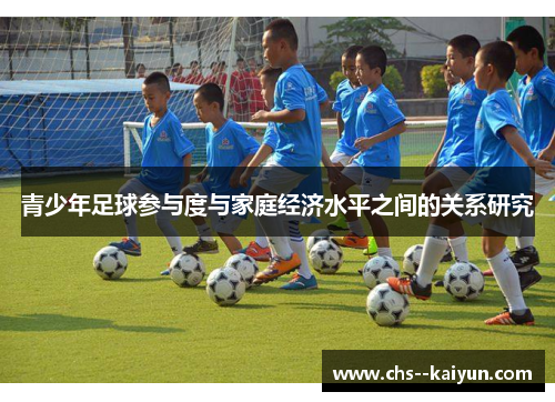 青少年足球参与度与家庭经济水平之间的关系研究