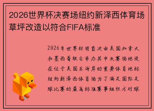 2026世界杯决赛场纽约新泽西体育场草坪改造以符合FIFA标准